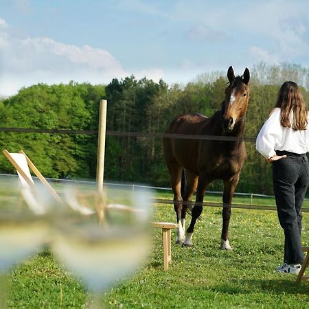 Tiny House Centre Equestre - 35 Mins De Paris Villa Chambly Exteriör bild