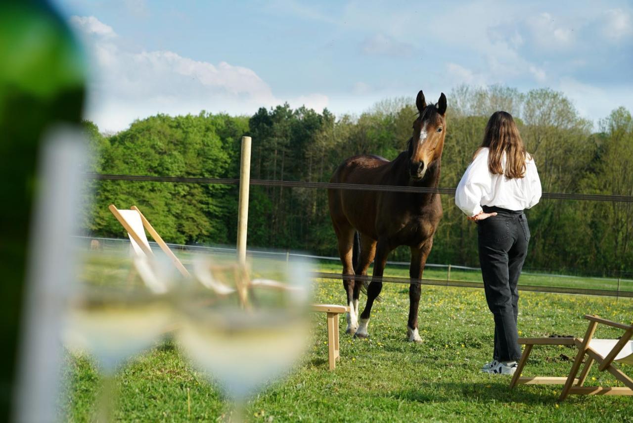 Tiny House Centre Equestre - 35 Mins De Paris Villa Chambly Exteriör bild